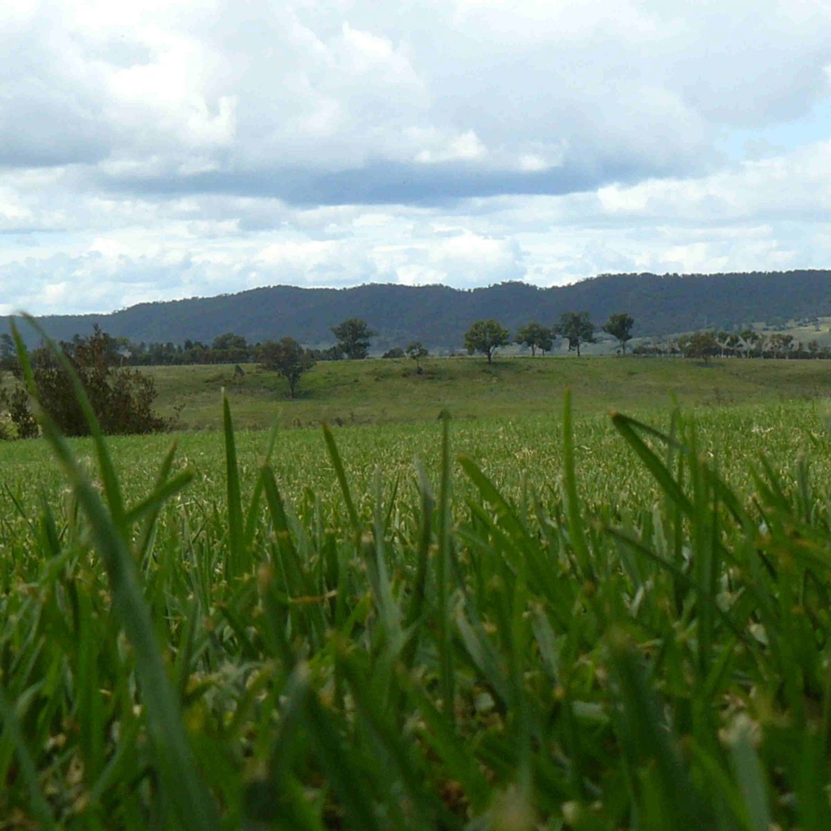 Entretien du lieu de vie