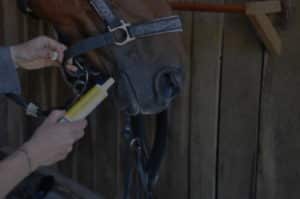 administrer une seringue d'athlet protec à un cheval de sport
