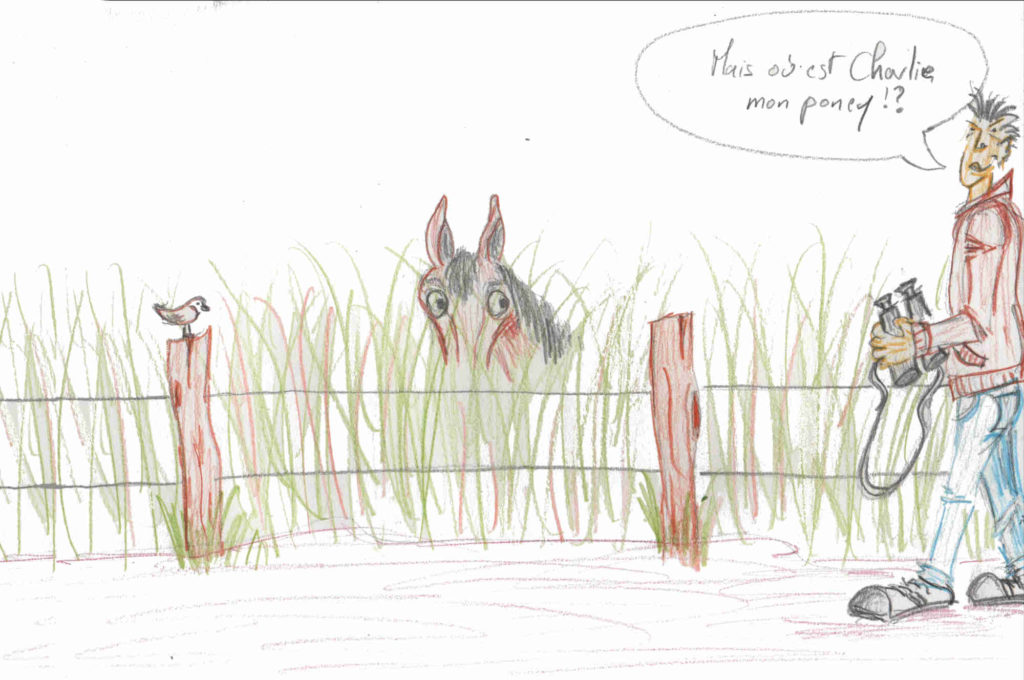 dessin humoristique d'un propriétaire recherchant son poney dans un champ plein d'herbe